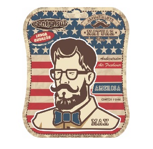 Aromatizante miniatura max america Centralsul