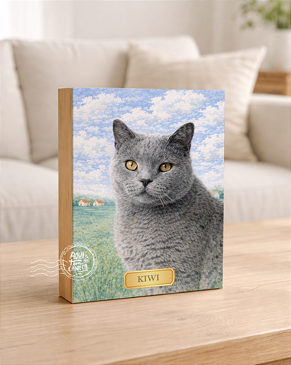 Quadro de mesa meu pet gato cinza personalizado com nome 15x20cm