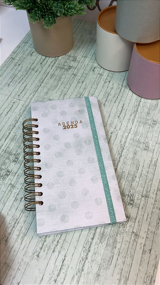 Agenda Slim (2dias p/pág.)