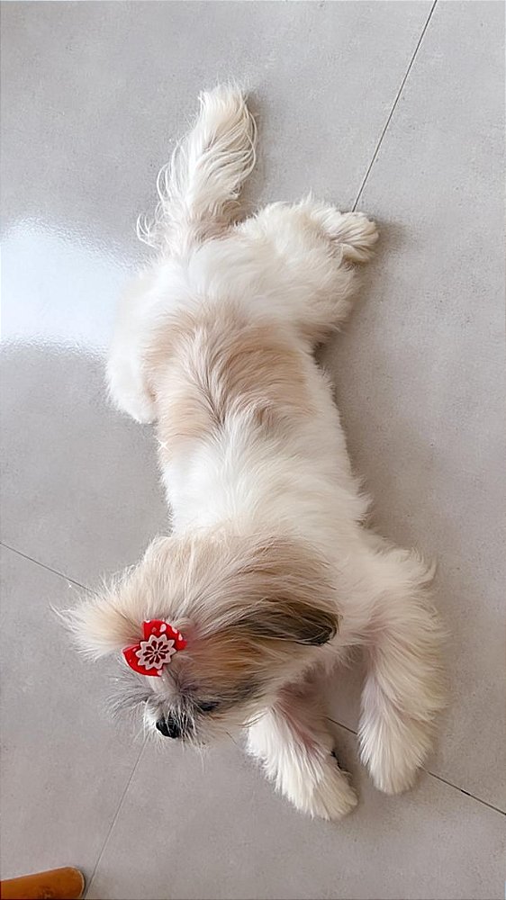 Impressão A4 papel fotografico e laminado