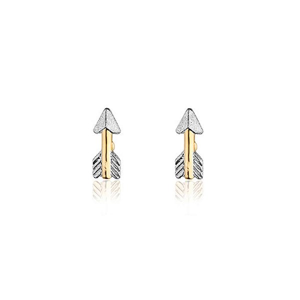 Brinco Seta Folheado a Ouro 18K