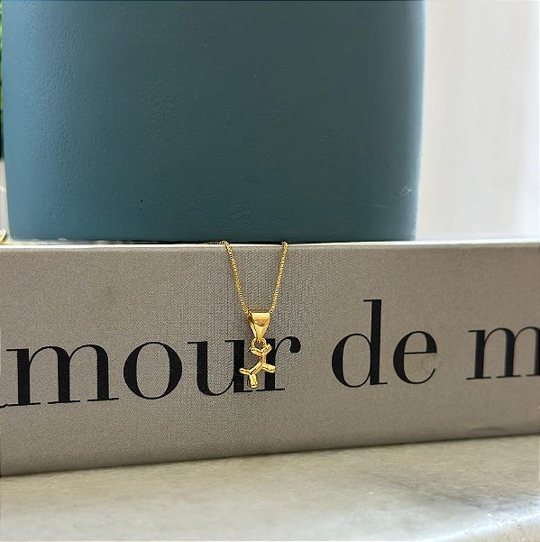 Colar de Cachorrinho Baloon Folheado a Ouro 18k