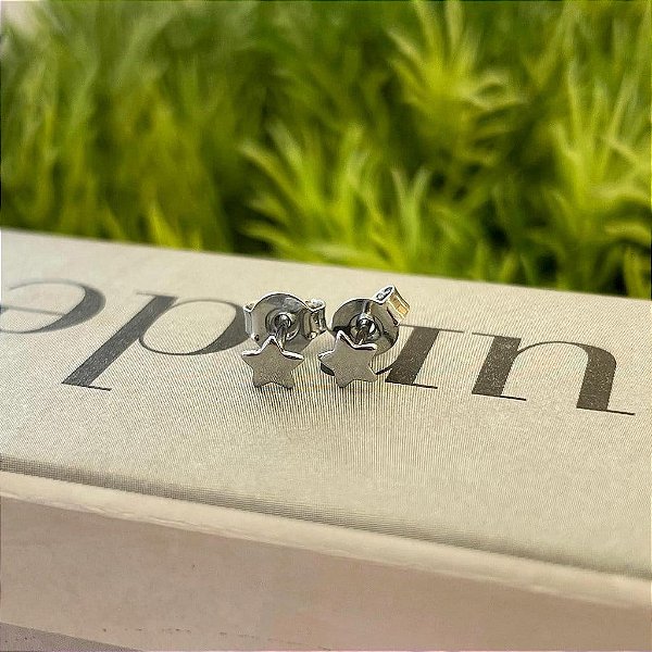 Brinco Estrela Lisa PP Steel