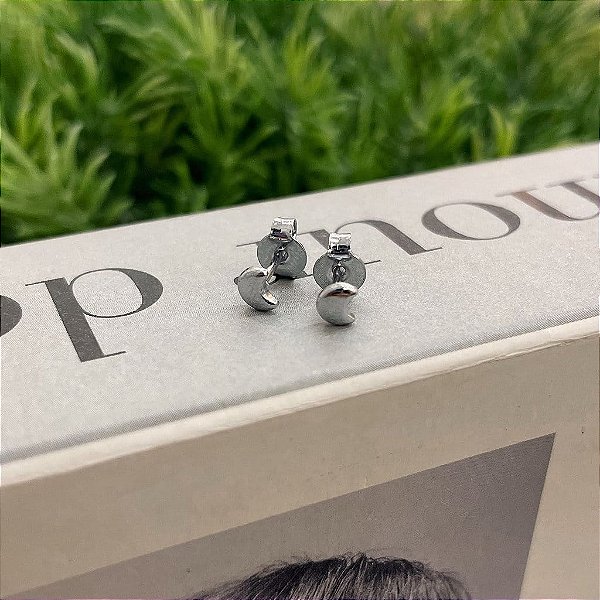 Brinco Lua Lisa PP Steel