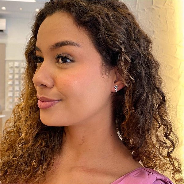 Brinco de Borboleta e Rastro Cravejado Steel