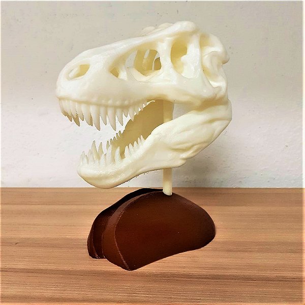 Esqueleto Tiranossauro Rex Decorativo