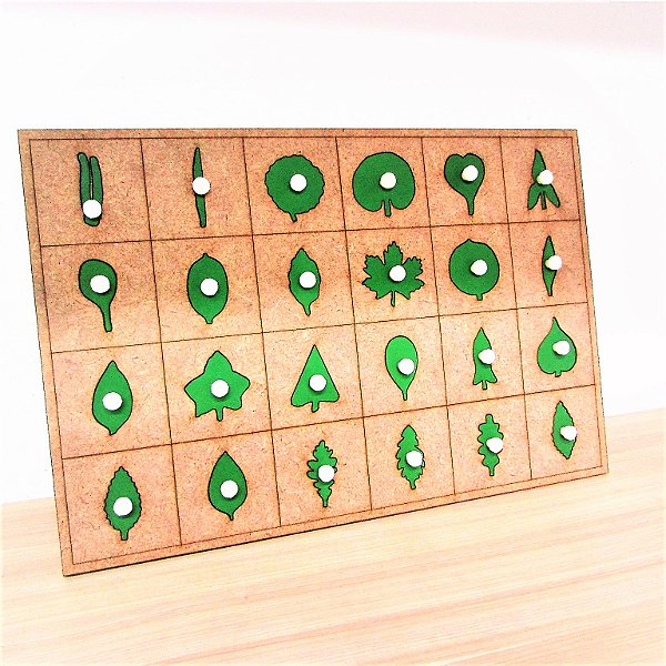 Encaixes de Botânica Montessori