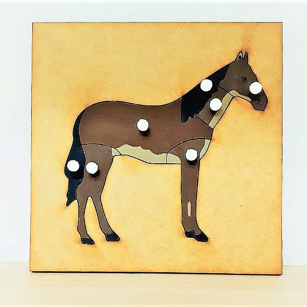 Quebra Cabeças Montessori de Biologia Cavalo