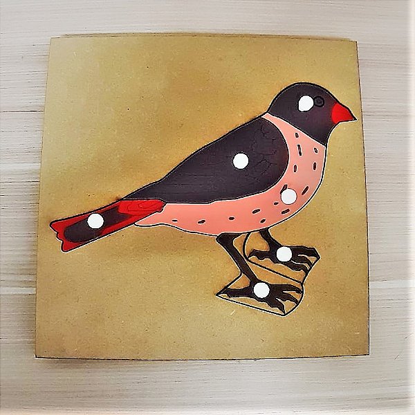 Quebra Cabeças Montessori de Biologia Pássaro