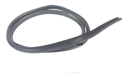 Borracha Porta Dianteira Direita Ford Focus 2012