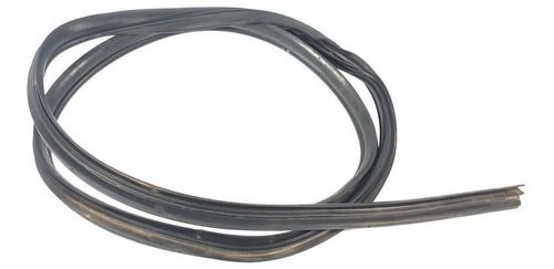 Borracha Porta Traseira Direita Ford Focus 2012