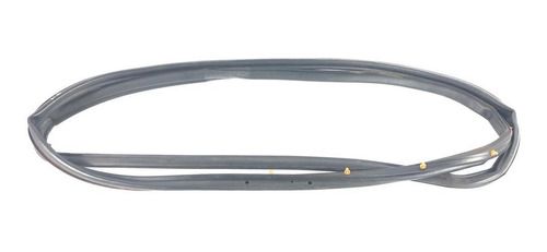 Borracha Porta Traseira Esquerda Jeep Compass 2018