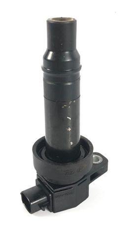 Bobina De Ignição Hyundai Veloster 1.6 2012 273012b010