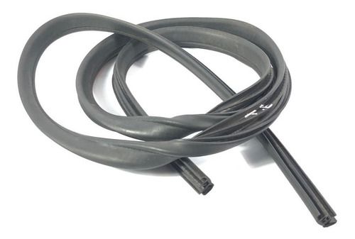 Borracha Carroceria Porta Traseira Esquerda Ford Focus 2017