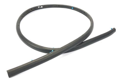 Borracha Porta Traseira Direita Bmw X1 2019 2.0 34964607