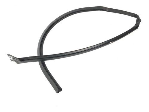 Borracha Vidro Traseiro Direito Honda Wr-v 2018