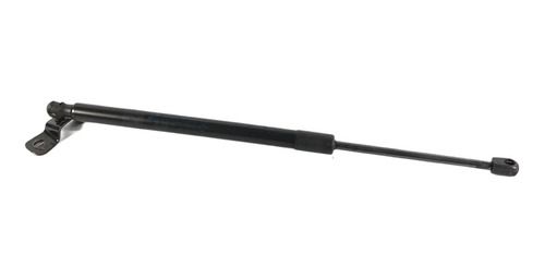 Amortecedor Tampa Traseira Dir. Jeep Compass 2018 Flex