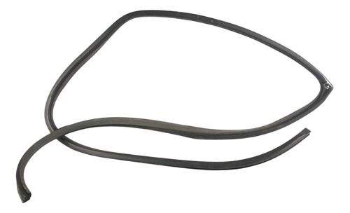 Borracha Porta Tras. Dir. Hyundai Azera 2011 3.3 V6