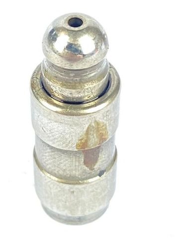 Tucho Hidráulico Comando Motor Bmw 320i 2014