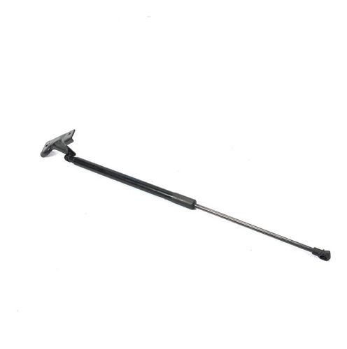 Amortecedor Tampa Traseira Citroen C4 Cactus 2020