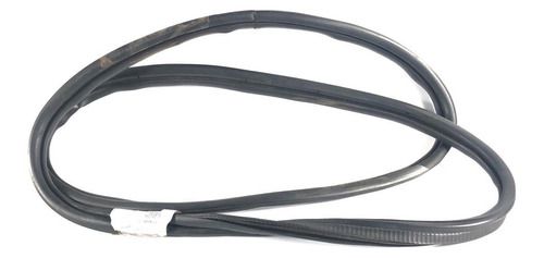 Borracha Capo Citroen C4 Pallas 2.0 2010