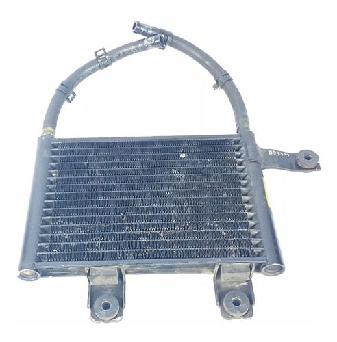 Resfriador Caixa Direção Kia Opirus 2008 3.6