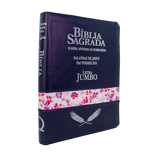 BIBLIA JUMBO COM HARPA PJV TRI