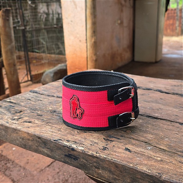 Coleira de Proteção para Cães