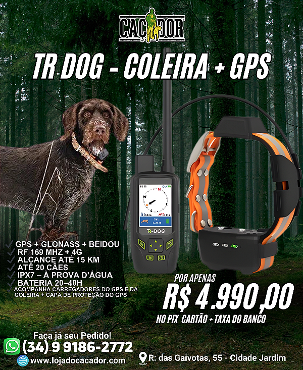 KIT TR DOG Houdmate 100/R50 - COLEIRA + GPS