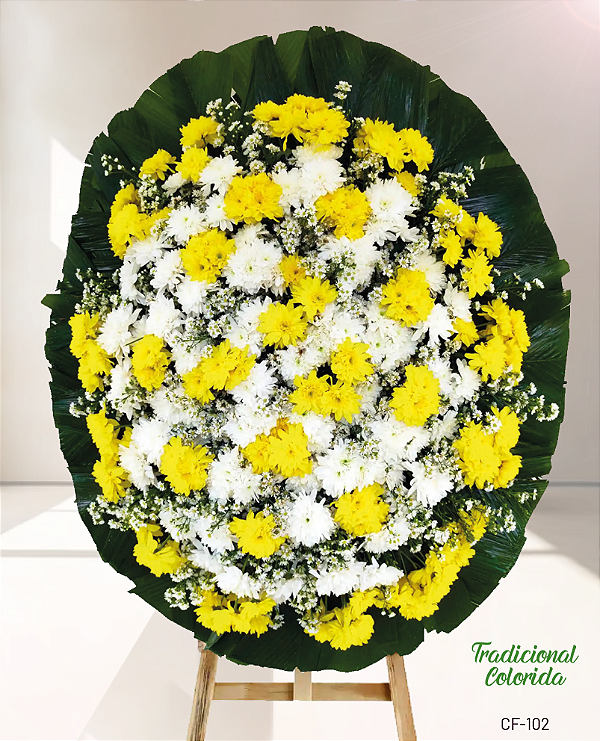 C105 - Tradicional Colorida