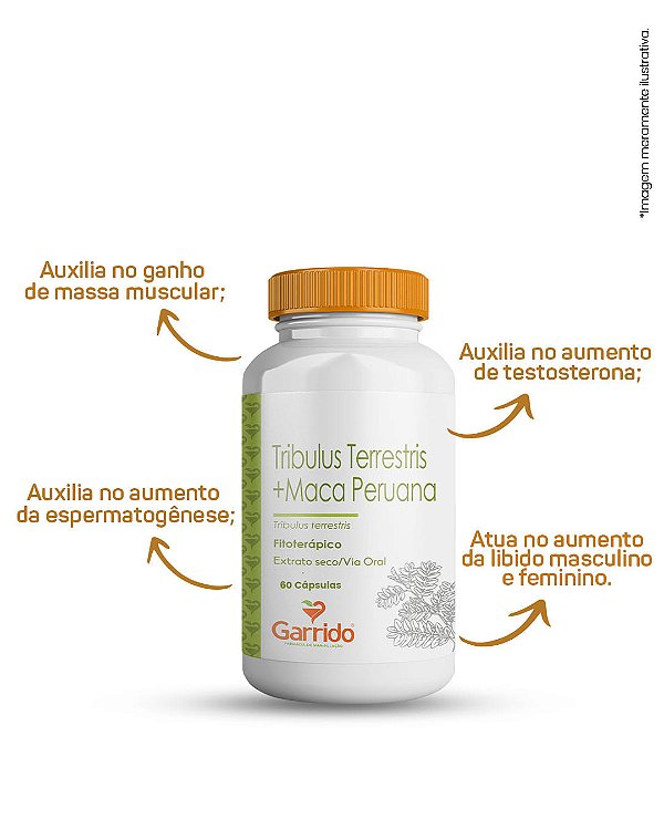 Tribulos Terrestris + Maca Peruana