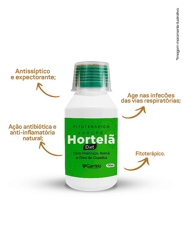 Xarope Hortelã Diet
