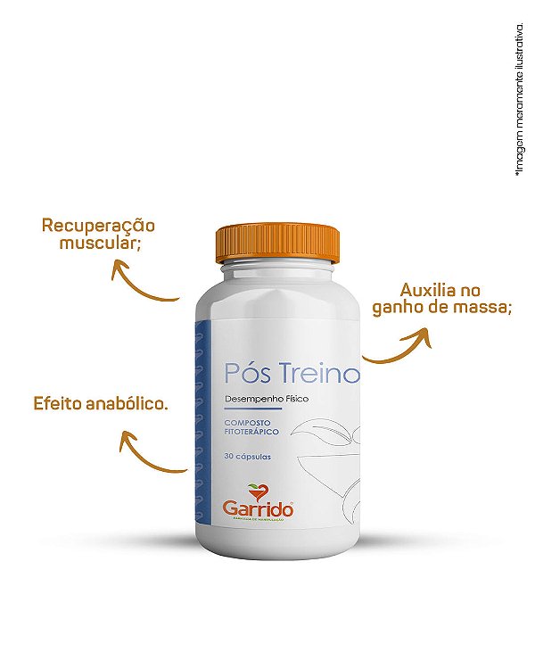 Pós Treino