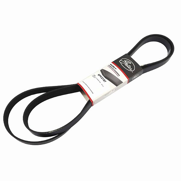 Correia Micro-V Gates 6PK2187 Ford Focus 2.0 16V - Cód.11731