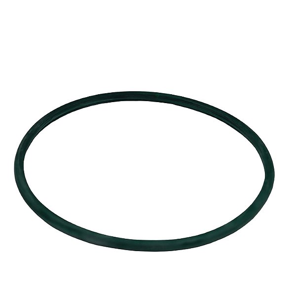 Guarnição Flange Bomba TSA T040028 Peugeot 206 - Cód.13982