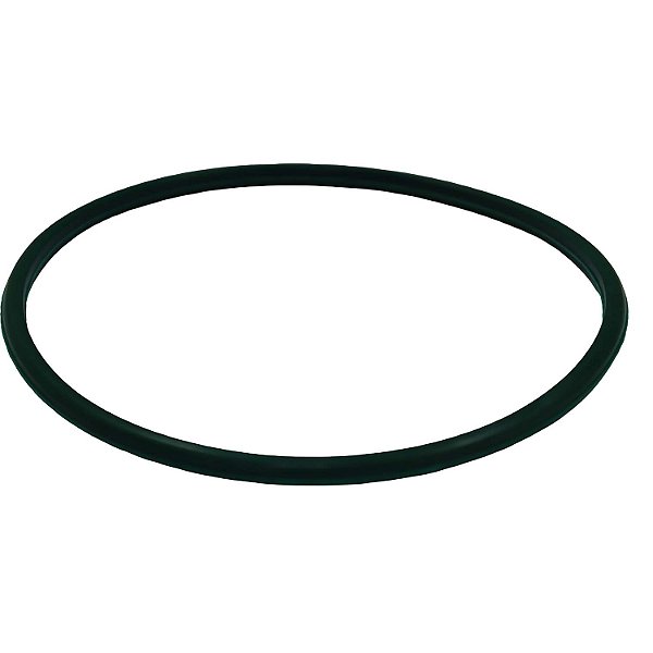 Guarnição Flange Bomba TSA T040045 Fiat Bravo - Cód.13990