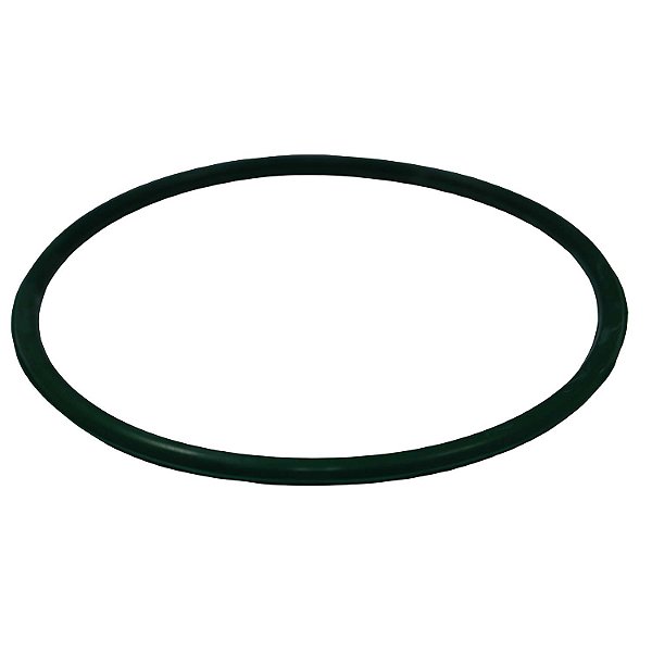 Guarnição Flange Bomba TSA T040066 Fiat Toro - Cód.14009
