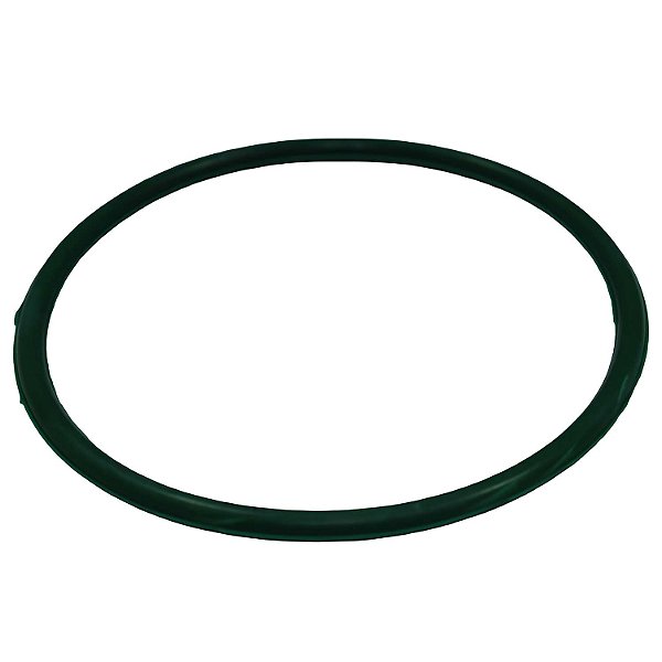 Guarnição Flange Bomba TSA T040068 Hyundai Creta - Cód.14011