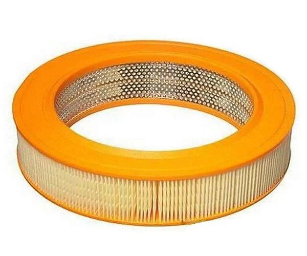 Filtro Ar Mann C2799