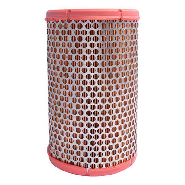 Filtro Ar Mann C1380