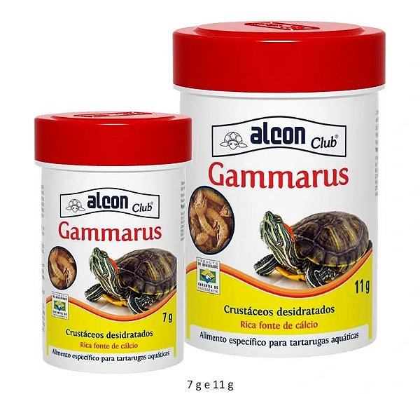 GAMMARUS - ALCON