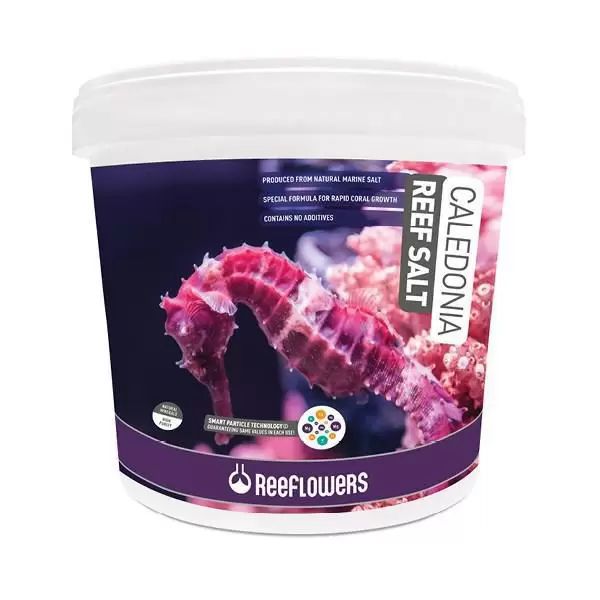 *CALEDONIA REEF SALT BALDE - REEFFLOWERS