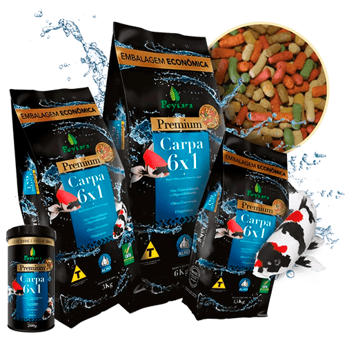 POYTARA PREMIUM CARPA 6X1
