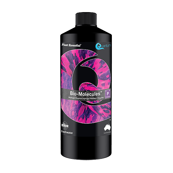 BIO-MOLECULES - QUANTUM