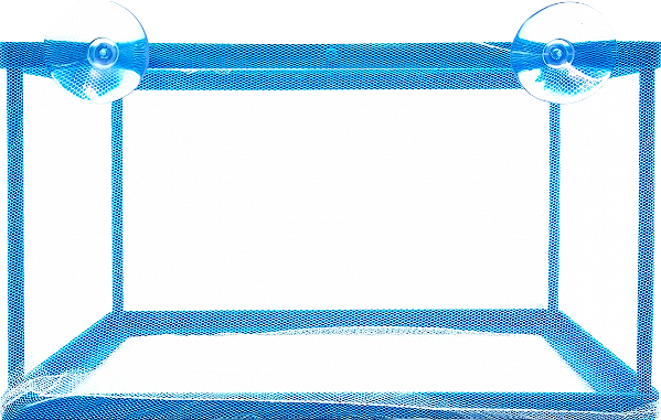 WF- CRIADEIRA - WFISH