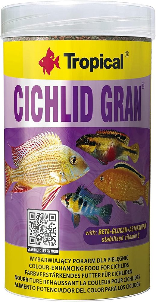 CICHLID GRAN POTE - TROPICAL