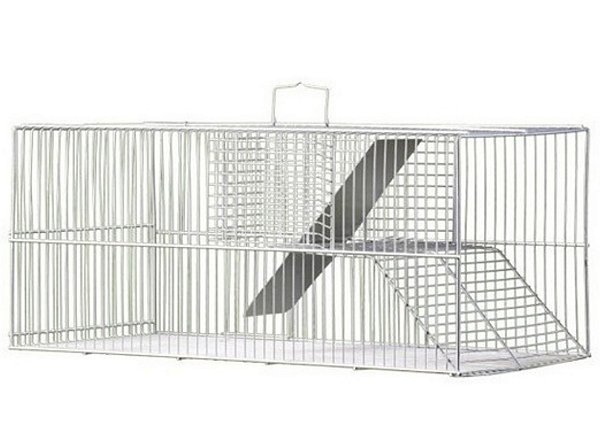Ratoeira Gigante Fundo Falso Ratazanas Ratos Extra Grande 54 X 24 X 23cm