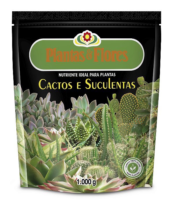 Plantas & Flores Cactos e Suculentas 1kg