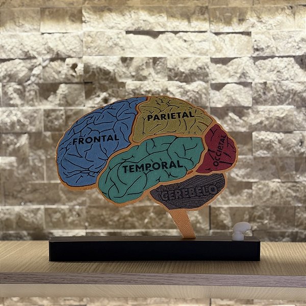 Cérebro encaixe regiões cerebrais