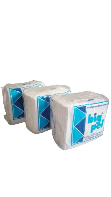GUARDANAPO BIG PEL 18X20 C/100 UNID.  PCT